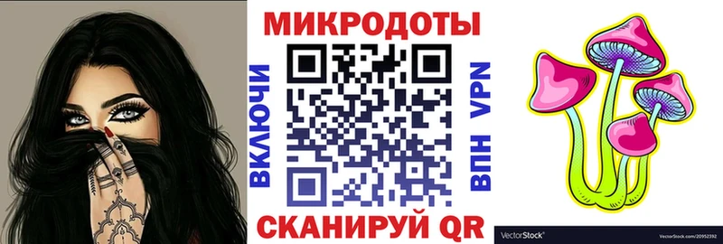 Галлюциногенные грибы Psilocybe  где продают наркотики  OMG   Велиж 